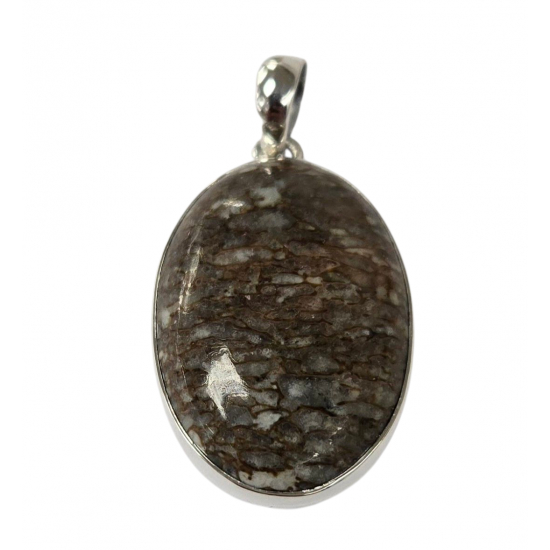 pendant gem bone real dinosaur bones silver