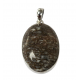 pendant gem bone real dinosaur bones silver