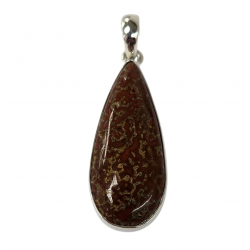 pendant gem bone real dinosaur bones silver