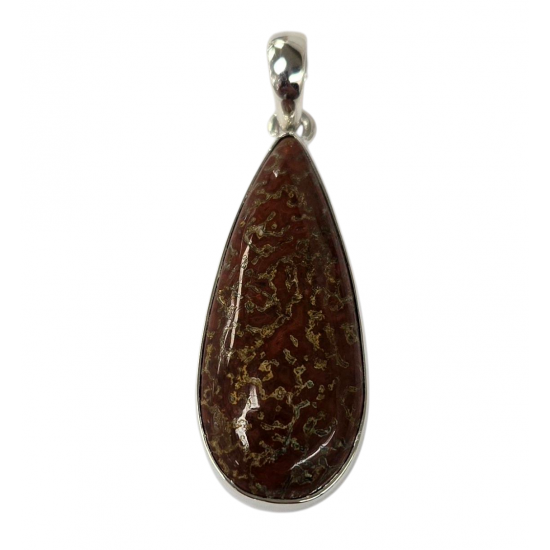 pendant gem bone real dinosaur bones silver