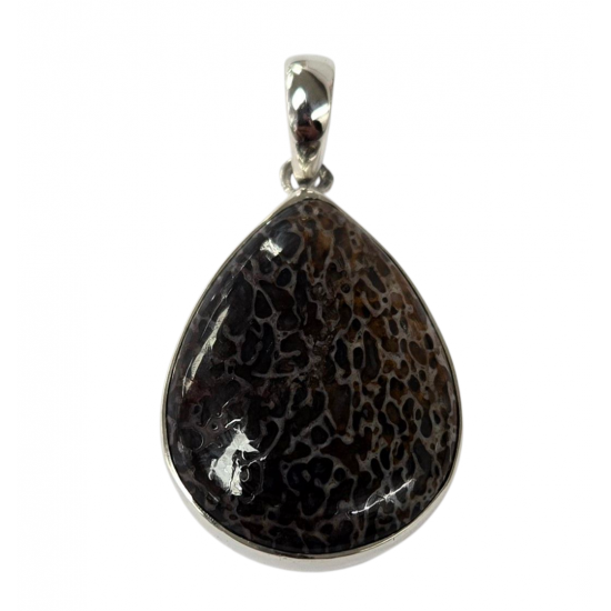 pendant gem bone real dinosaur bones silver