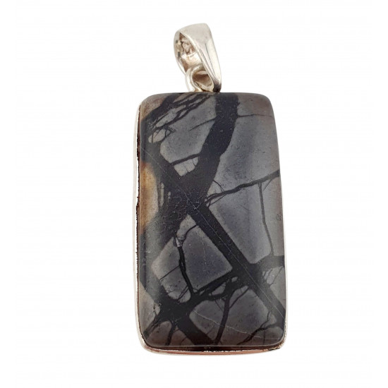 pendant picture jasper silver