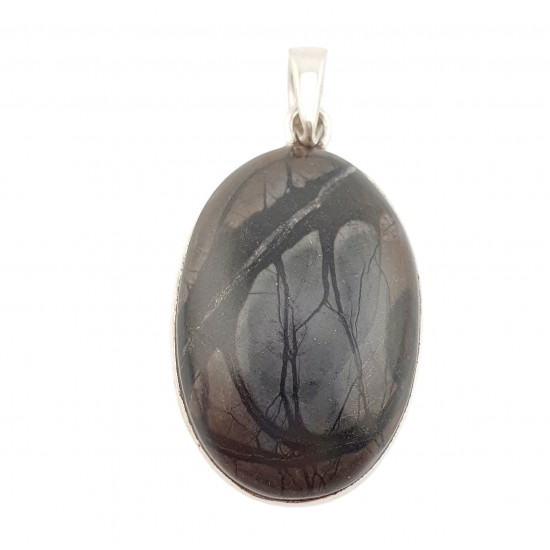 pendant picture jasper silver