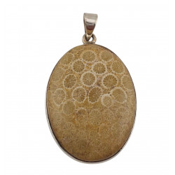 pendant coral petoskey stone silver