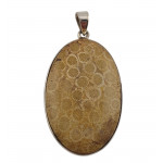 pendant coral petoskey stone silver