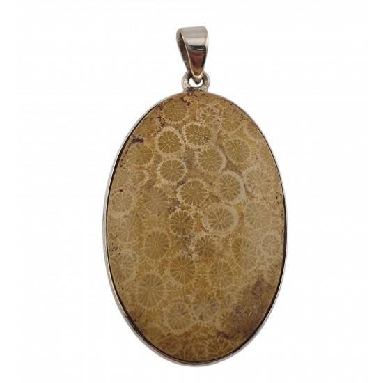 pendant coral petoskey stone silver