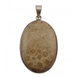 pendant coral petoskey stone silver