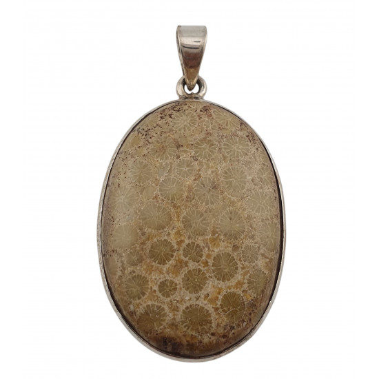 pendant coral petoskey stone silver
