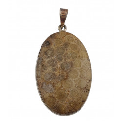pendant coral petoskey stone silver