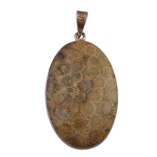 pendant coral petoskey stone silver