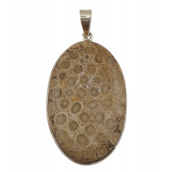 pendant coral petoskey stone silver