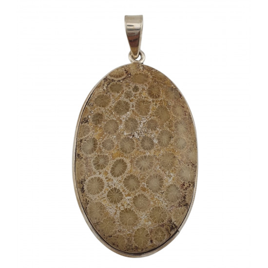 pendant coral petoskey stone silver