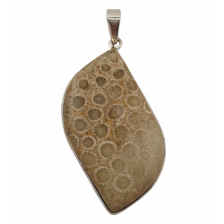 pendant coral petoskey stone silver