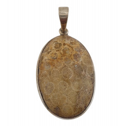 pendant coral petoskey stone silver