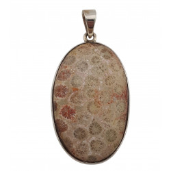 pendant coral petoskey stone silver