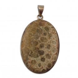 pendant coral petoskey stone silver