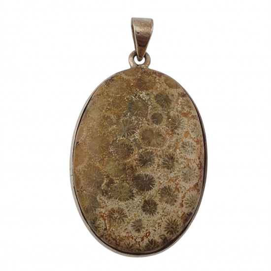 pendant coral petoskey stone silver