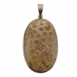 pendant coral petoskey stone silver