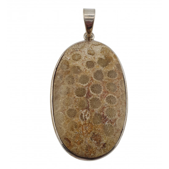 pendant coral petoskey stone silver