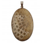 pendant coral petoskey stone silver