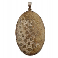 pendant coral petoskey stone silver