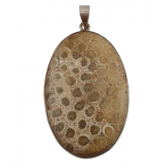 pendant coral petoskey stone silver
