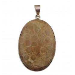 pendant coral petoskey stone silver