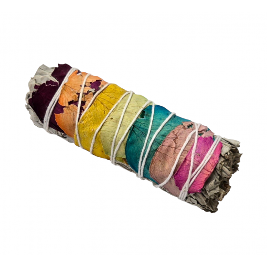 chakras sage