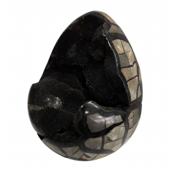 black septarian egg