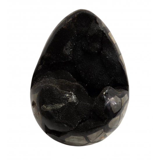 black septarian egg