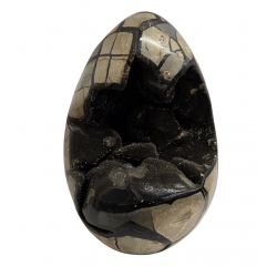 black septarian egg