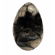 black septarian egg