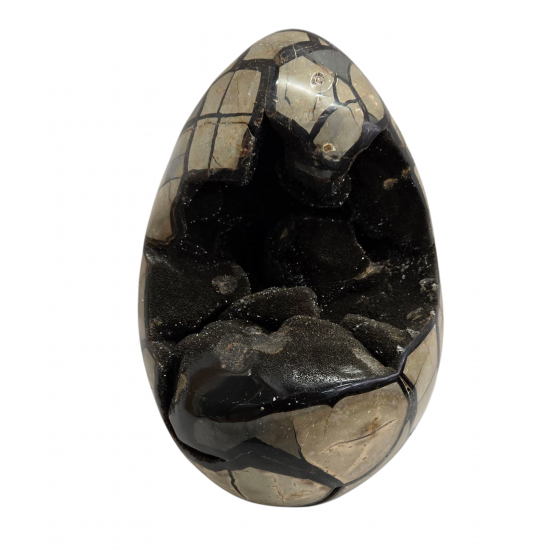 black septarian egg