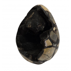 black septarian egg