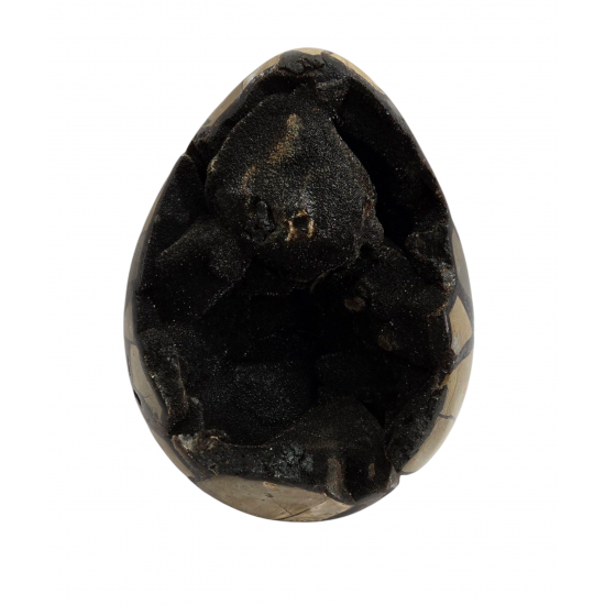 black septarian egg