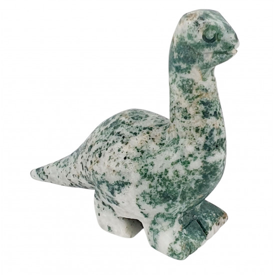 Dinosaur diplodocus tree agate
