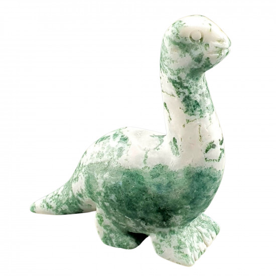 Dinosaur diplodocus tree agate