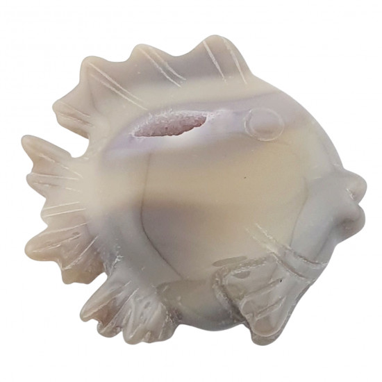 Fish agate