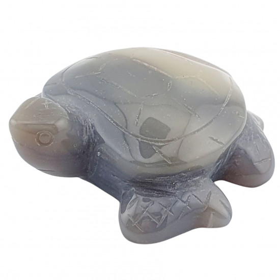 Sea Turtle agate