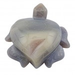 Sea Turtle agate