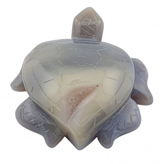 Sea Turtle agate