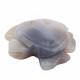 Sea Turtle agate