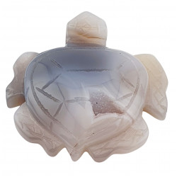 Tortue agate