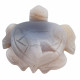 Sea Turtle agate