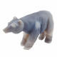 bear Agate