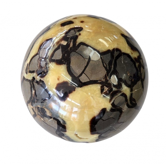 yellow septarian sphere giant