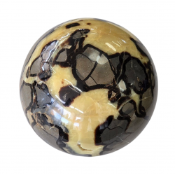 yellow septarian sphere giant