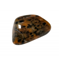 Agate Guepard