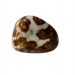 Tumbled Stone Garnet in Limestone