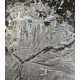 meteorite siemchan 1690 gr